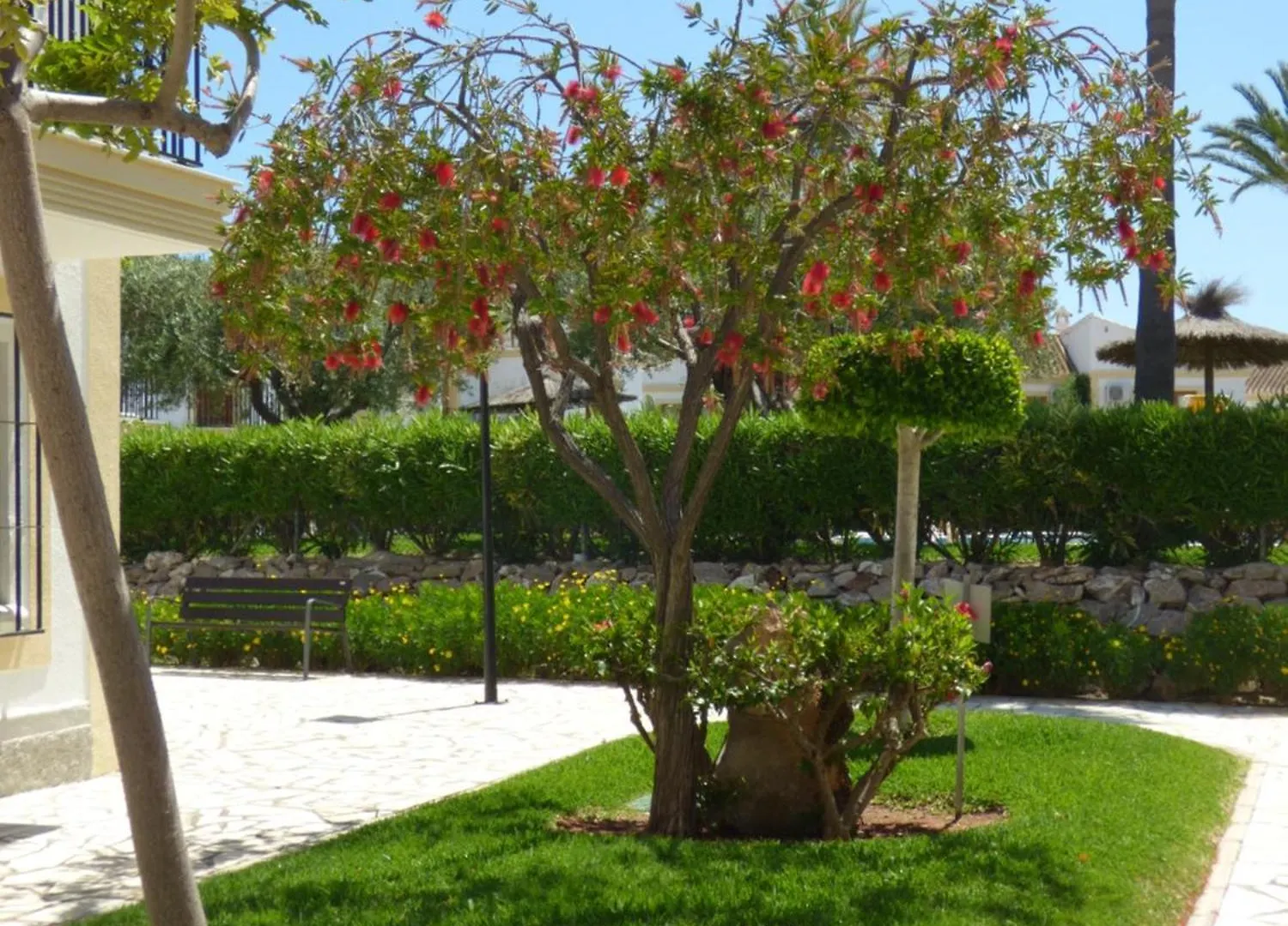 Appartamento Casa De Livia Vera Playa Playas de Vera